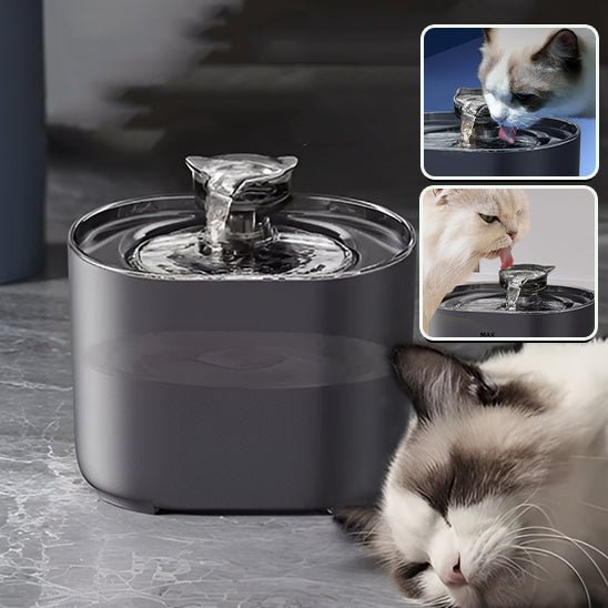 fontaine à eau pour chat / Automatique Revolution ™| - Le - chat - malin.com