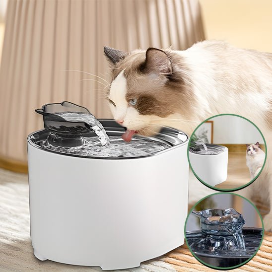 fontaine à eau pour chat / Automatique Revolution ™| - Le - chat - malin.com