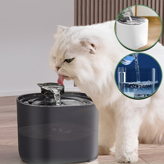 fontaine à eau pour chat / Automatique Revolution ™| - Le - chat - malin.com